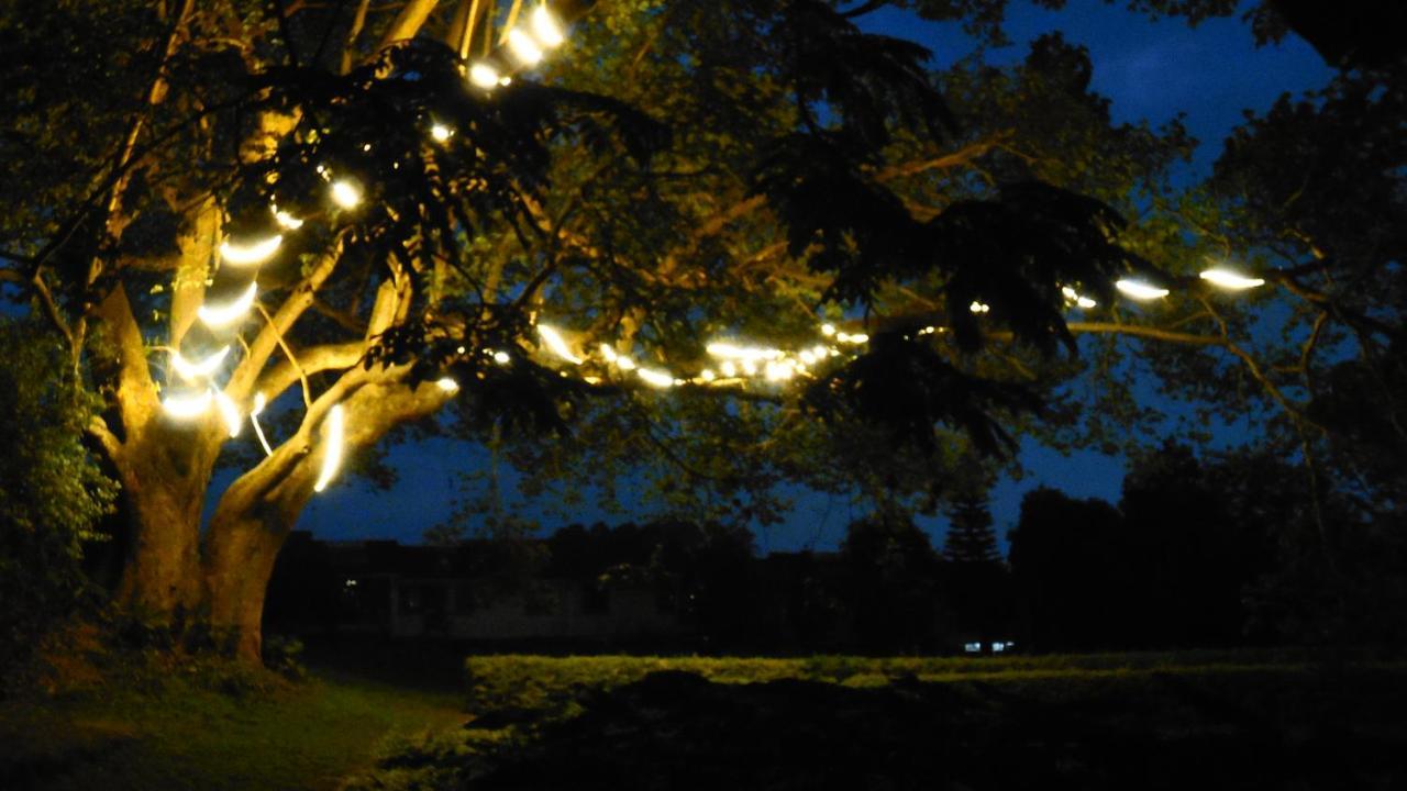 Qaribu Inn Boutique Hotel Nairobi Luaran gambar